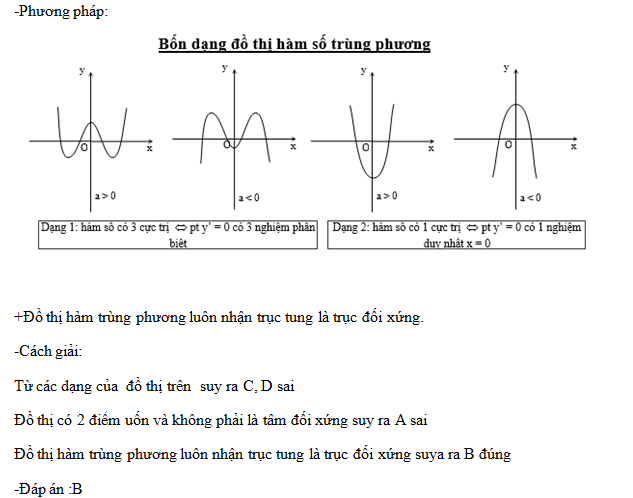 Tâm Đối Xứng Đồ Thị Hàm Số Là Gì? A-Z Cách Xác Định & Ứng Dụng