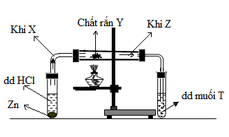 1. Tiến hành thí nghiệm như hình vẽ bên : cho viên kẽm vào dung dịch HCl  thấy có khí X thoát ra; dẫn khí X đi qua chất rắn Y nung