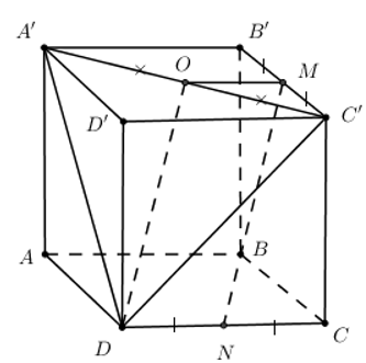Cho hình lập phương 'B'C'D'. M, N là trung điểm của B'C', CD. Chứng  minh \(MN\parallel \left( DA'C' \right)\)