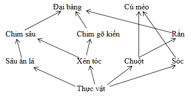 Tìm hiểu về vẽ lưới thức ăn sinh học 9 và vai trò của nó trong cơ thể