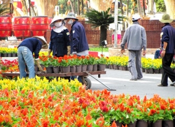 Đường hoa Nguyễn Huệ Tết  2013  tết Quý Tỵ