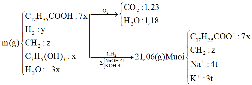 L I Gi I H N H P E G M C Hx Cooh C Hxcooh V Triglixerit T L T