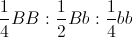 \frac{1}{4}BB : \frac{1}{2}Bb : \frac{1}{4}bb