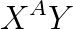 \dpi{200} X^{A}Y