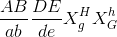 \frac{AB}{ab} \frac{DE}{de} X_{g}^{H} X_{G}^{h}