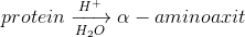 protein\xrightarrow[H_{2}O]{H^{+}}\alpha -aminoaxit