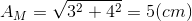 A_{M}=\sqrt{3^{2}+4^{2}}=5(cm)