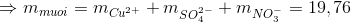 \Rightarrow m_{muoi}=m_{Cu^{2+}}+m_{SO_{4}^{2-}}+m_{NO_{3}^{-}}=19,76