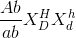 \frac{Ab}{ab}X_{D}^{H}X_{d}^{h}