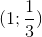 (1;\frac{1}{3})