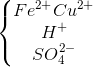 \left\{\begin{matrix} Fe^{2+}Cu^{2+} & & \\ H^{+} & & \\ SO_{4}^{2-} & & \end{matrix}\right.