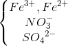 \left\{\begin{matrix} Fe^{3+},Fe^{2+} & & \\ NO_{3}^{-} & & \\ SO{_{4}}^{2-} & & \end{matrix}\right.