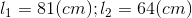 l_{1}=81(cm);l_{2}=64(cm)