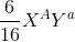 \frac{6}{16}X^{A}Y^{a}