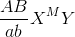 \frac{AB}{ab}X^{M}Y