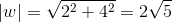 |w|=\sqrt{2^{2}+4^{2}}=2\sqrt{5}