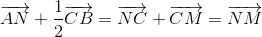 overrightarrow{AN}+frac{1}{2}overrightarrow{CB}=overrightarrow{NC}+overrightarrow{CM}=overrightarrow{NM}
