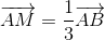 overrightarrow{AM}=frac{1}{3}overrightarrow{AB}