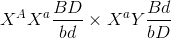 X^{A}X^{a}\frac{BD}{bd} \times X^{a}Y \frac{Bd}{bD}
