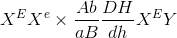 X^{E}X^{e}\times \frac{Ab}{aB}\frac{DH}{dh}X^{E}Y