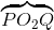 \overbrace{PO_{2}Q}