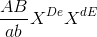 \frac{AB}{ab}X^{De}X^{dE}