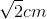 \sqrt{2}cm