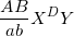 \small \frac{AB}{ab}X^{D}Y