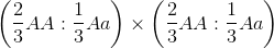 \left ( \frac{2}{3}AA : \frac{1}{3}Aa \right )\times \left ( \frac{2}{3}AA : \frac{1}{3}Aa \right )