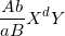 \small \frac{Ab}{aB}X^{d}Y