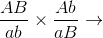 $${{AB} \over {ab}}{\rm{ }} \times {{Ab} \over {aB}}{\rm{ }} \to $$