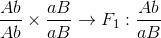 {{Ab} \over {Ab}} \times {{aB} \over {aB}} \to {F_1}:{{Ab} \over {aB}}