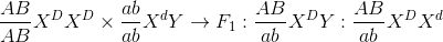 {{AB} \over {AB}}{X^D}{X^D} \times {{ab} \over {ab}}{X^d}Y \to {F_1}:{{AB} \over {ab}}{X^D}Y:{{AB} \over {ab}}{X^D}{X^d}