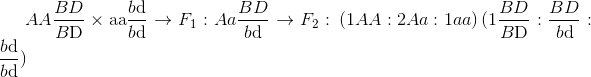 AA{{BD} \over {B{\rm{D}}}} \times {\rm{aa}}{{b{\rm{d}}} \over {b{\rm{d}}}} \to {F_1}:Aa{{BD} \over {b{\rm{d}}}} \to {\rm{ }}{F_2}:{\rm{ }}\left( {1AA:2Aa:1aa} \right)(1{{BD} \over {B{\rm{D}}}}:{{BD} \over {b{\rm{d}}}}:{{b{\rm{d}}} \over {b{\rm{d}}}})