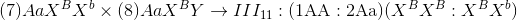 (7)Aa{X^B}{X^b} \times (8)Aa{X^B}Y \to II{I_{11}}:(1{\rm{AA:2Aa)(}}{X^B}{X^B}:{X^B}{X^b})