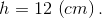 h = 12\,\left( {cm} \right).