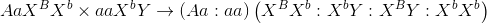 Aa{X^B}{X^b} \times aa{X^b}Y \to \left( {Aa:aa} \right)\left( {{X^B}{X^b}:{X^b}Y:{X^B}Y:{X^b}{X^b}} \right)