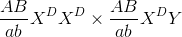 {{AB} \over {ab}}{X^D}{X^D} \times {{AB} \over {ab}}{X^D}Y