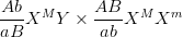 \dpi{100} {{Ab} \over {aB}}{X^M}Y \times {{AB} \over {ab}}{X^M}{X^m}