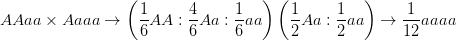 \dpi{100} AAaa \times Aaaa \to \left( {{1 \over 6}AA:{4 \over 6}Aa:{1 \over 6}aa} \right)\left( {{1 \over 2}Aa:{1 \over 2}aa} \right) \to {1 \over {12}}aaaa