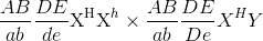 {{AB} \over {ab}}{{DE} \over {de}}{{\rm{X}}^{\rm{H}}}{{\rm{X}}^h} \times {{AB} \over {ab}}{{DE} \over {De}}{X^H}Y