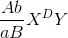 {{Ab} \over {aB}}{X^D}Y