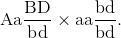 {\rm{Aa}}{{{\rm{BD}}} \over {{\rm{bd}}}} \times {\rm{aa}}{{{\rm{bd}}} \over {{\rm{bd}}}}.