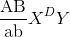 {{{\rm{AB}}} \over {{\rm{ab}}}}{X^D}Y