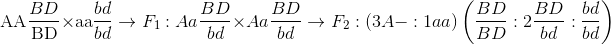 {\rm{AA}}{{BD} \over {{\rm{BD}}}} \times {\rm{aa}}{{bd} \over {bd}} \to {F_1}:Aa{{BD} \over {bd}} \times Aa{{BD} \over {bd}} \to {F_2}:\left( {3A - :1aa} \right)\left( {{{BD} \over {BD}}:2{{BD} \over {bd}}:{{bd} \over {bd}}} \right)