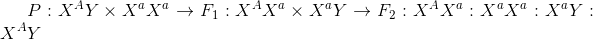 P:{X^A}Y \times {X^a}{X^a} \to {F_1}:{X^A}{X^a} \times {X^a}Y \to {F_2}:{X^A}{X^a}:{X^a}{X^a}:{X^a}Y:{X^A}Y