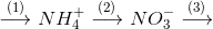 \buildrel {(1)} \over \longrightarrow NH_4^ + \buildrel {(2)} \over \longrightarrow NO_3^ - \buildrel {(3)} \over \longrightarrow