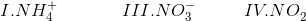 I.NH_4^ + \,\,\,\,\,\,\,\,\,\,\,\,\,\,\,\,\,\,\,\,\,III.NO_3^{ - \,}\,\,\,\,\,\,\,\,\,\,\,\,\,\,\,IV.NO_2^{}