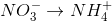NO_3^ - \to NH_4^ +