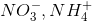 NO_3^ - ,NH_4^ +